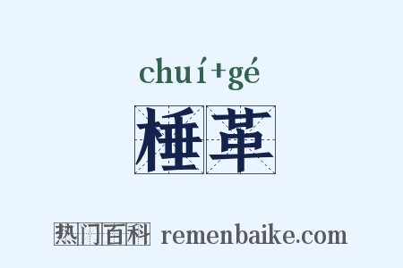 棰革是什么意思的图片